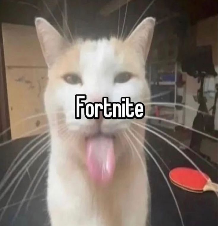 a cat sticking its tongue out with the caption fortnite