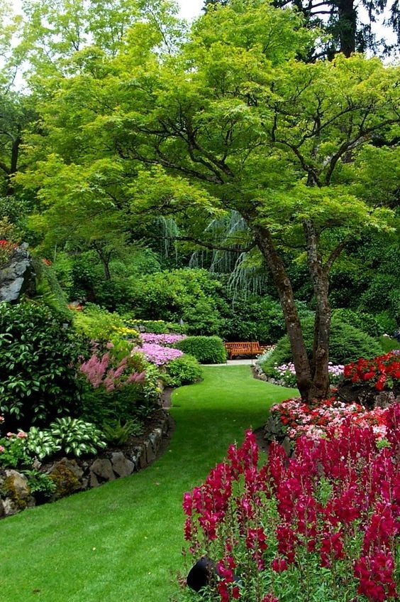 a garden filled with lots of different types of flowers and trees on top of green grass