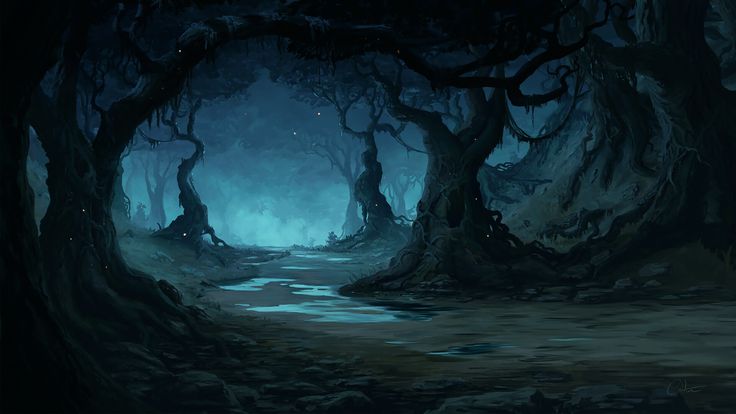 a dark forest filled with lots of trees