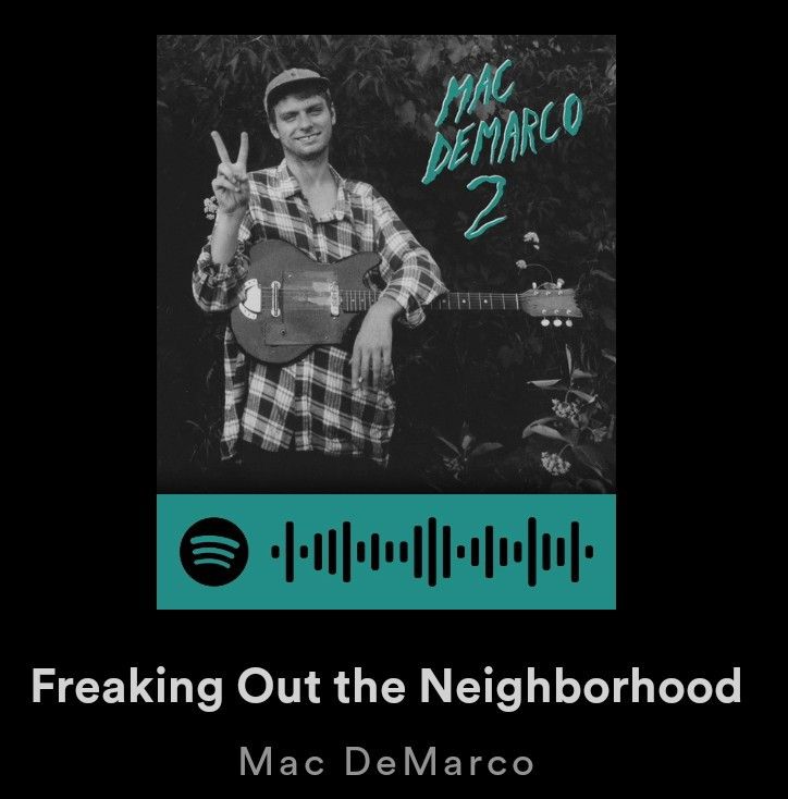 the cover for freaking out the neighborhood with mac demarco, featuring an image of