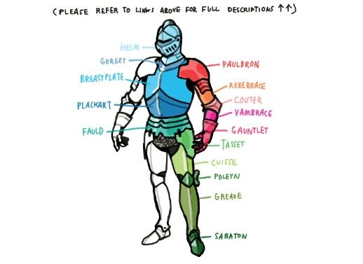 an image of the anatomy of a human body with words describing it and labeled in different colors