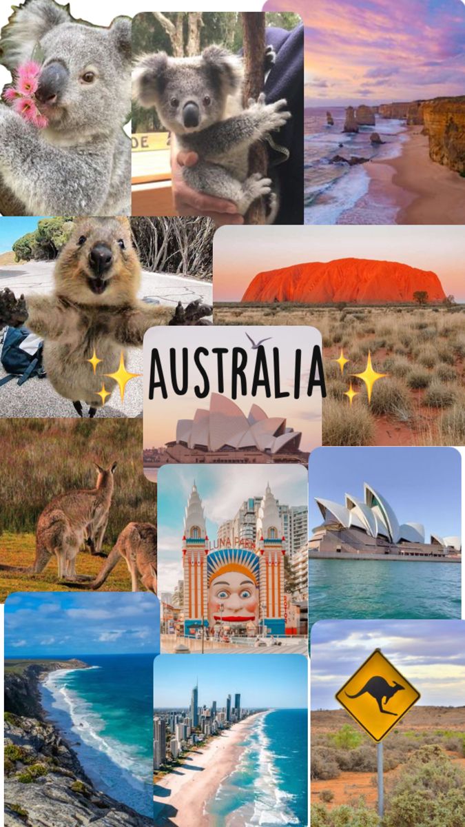 australia collage with images of different animals and places to see in the pictures below