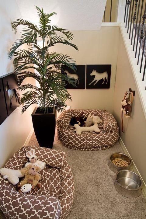 two dogs are sleeping in their beds on the floor next to a potted plant