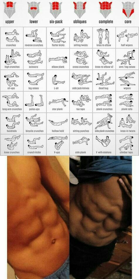 an image of a man's absorption chart with instructions for the muscles