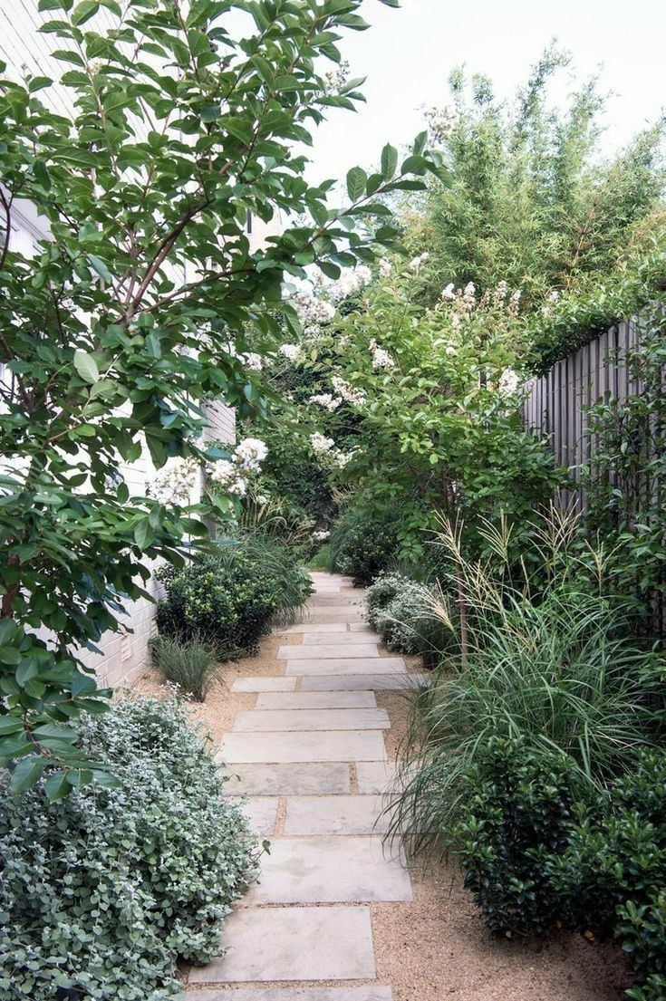 a stone path surrounded by trees and bushes