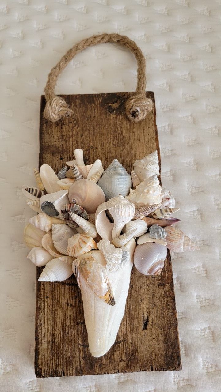 a wooden board with shells on it