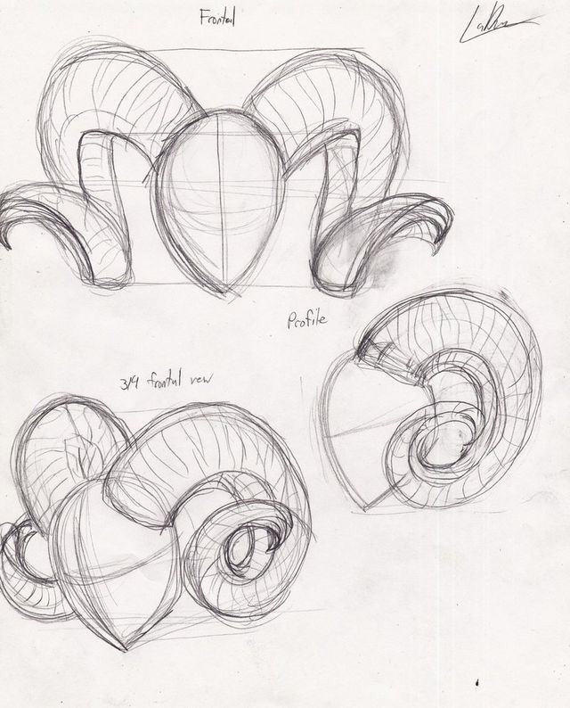 three drawings of hearts and spirals in various stages of development, from top to bottom