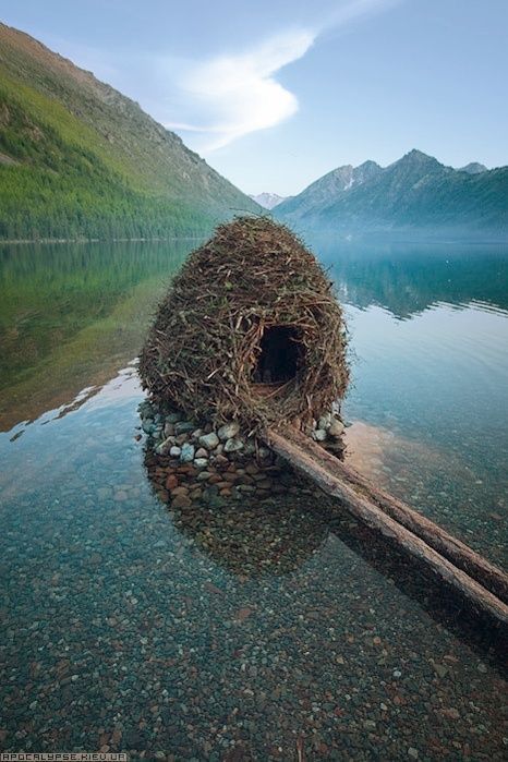 a bird nest sitting on top of a log in the water