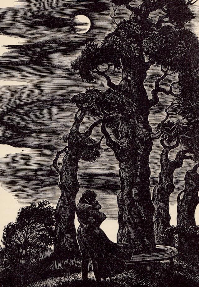 a drawing of a man sitting on a bench in the woods under a full moon