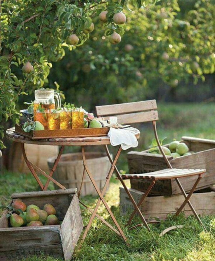 an outdoor table and chairs with apples on it in the grass next to some fruit