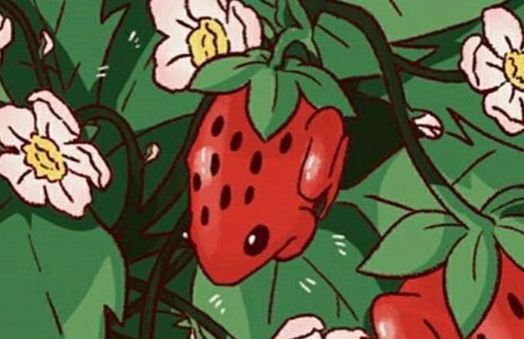 a drawing of strawberries and flowers on a green leafy plant with white flowers