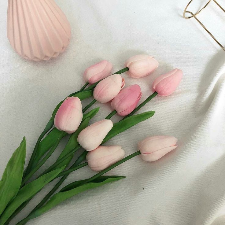 some pink tulips are laying on a white sheet next to a sea shell