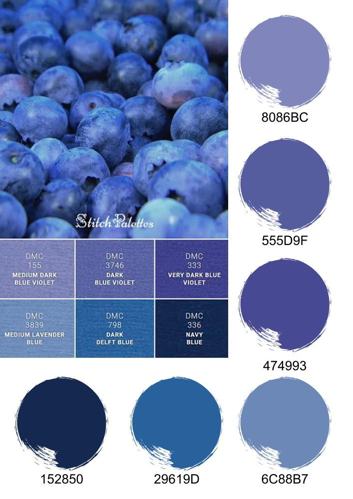 the color scheme for blueberries is shown