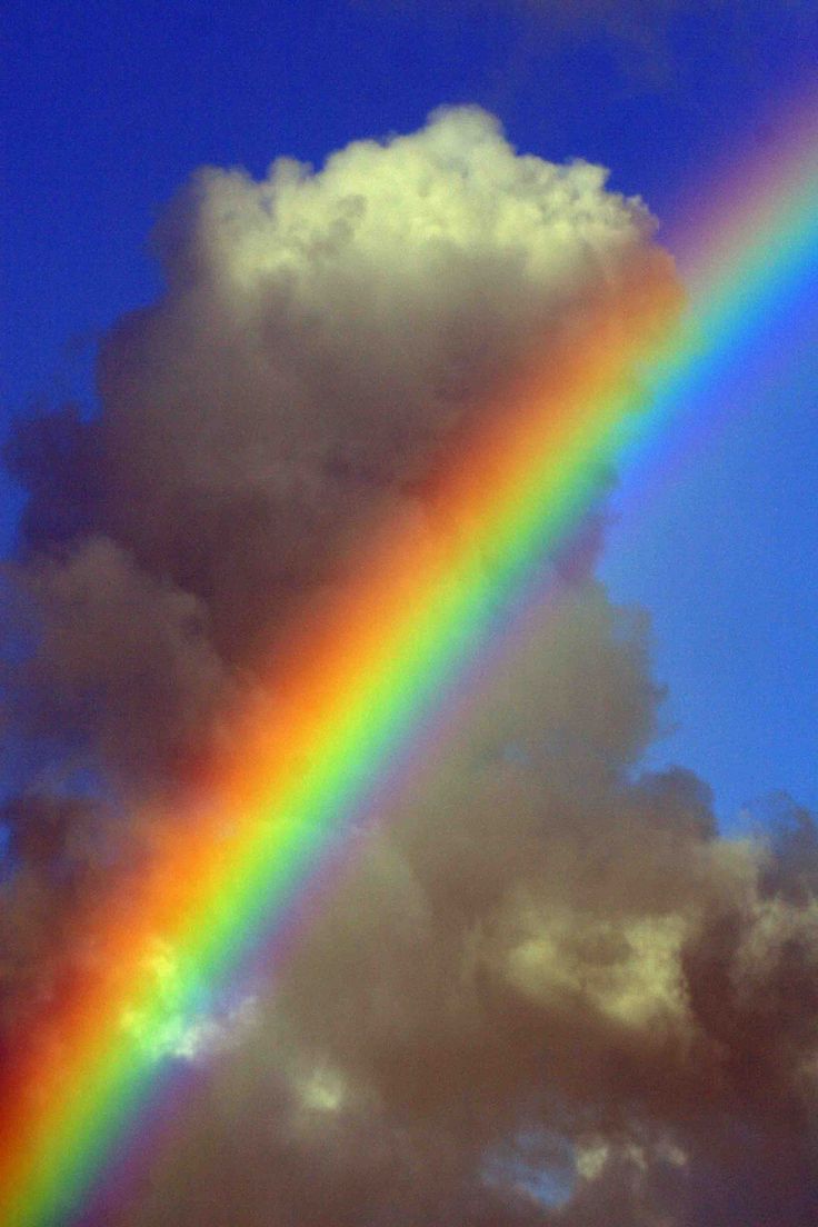 a rainbow appears to be in the sky above some dark clouds, with one half visible