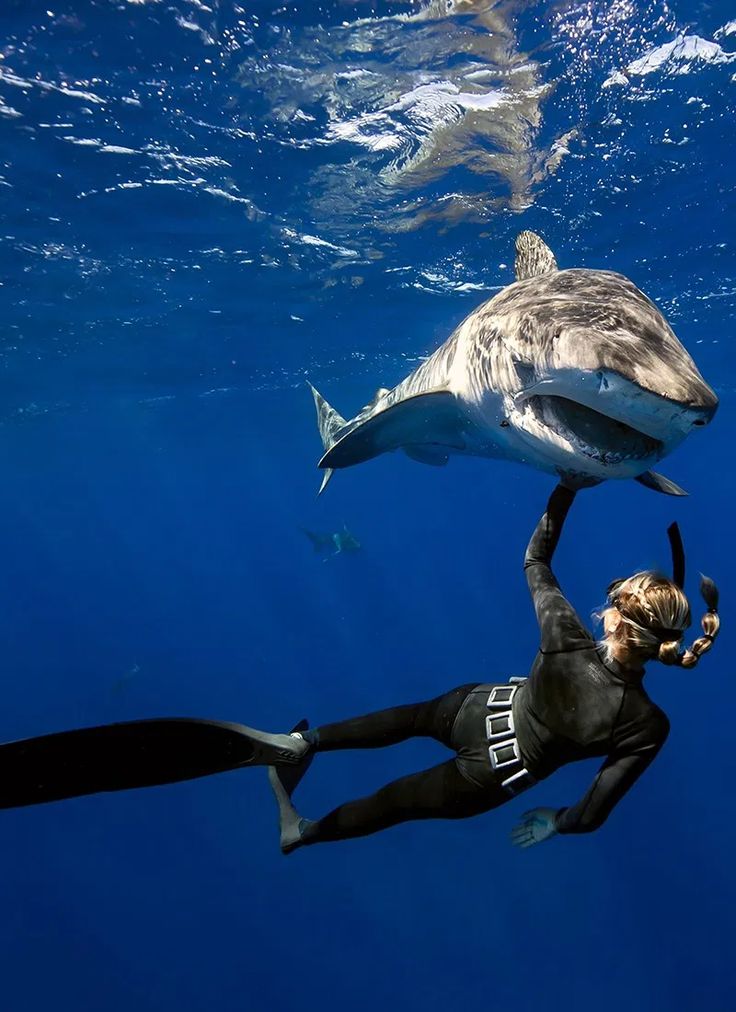 two people in wetsuits are swimming with a shark and another person is holding their hand out