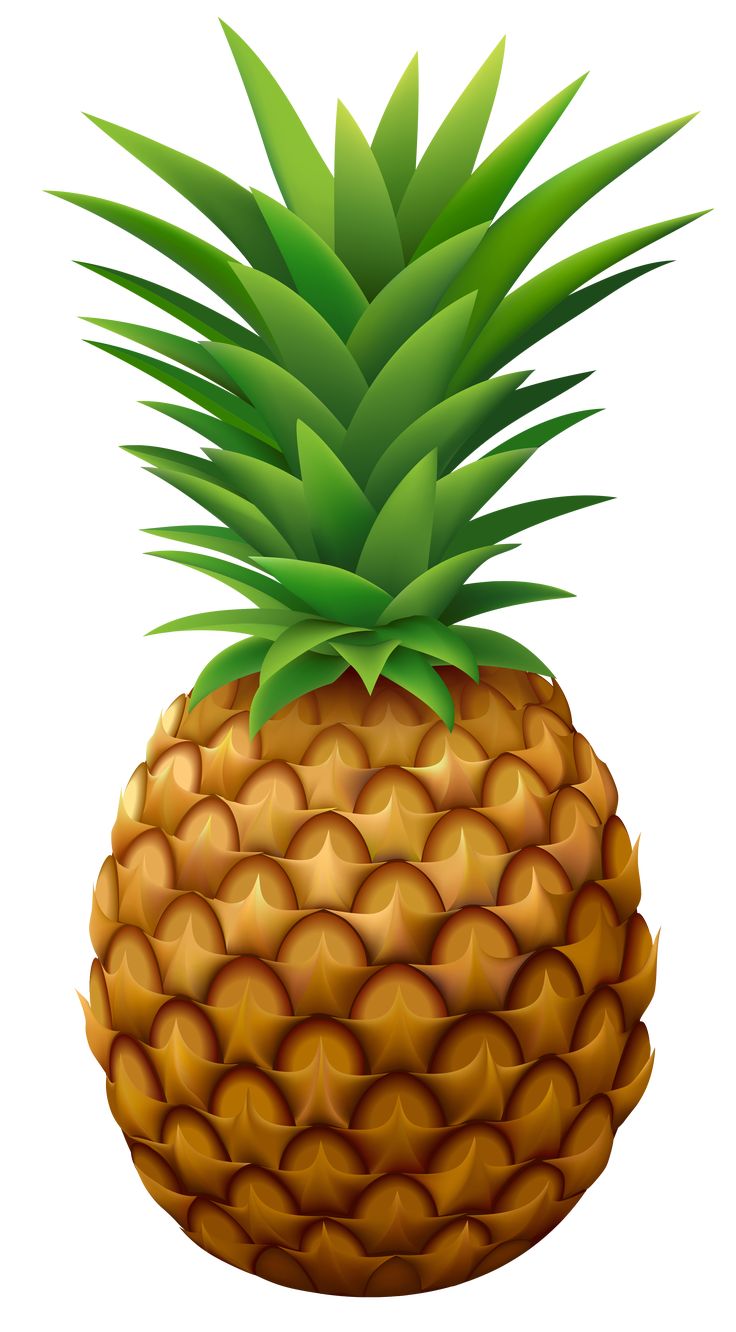 a pineapple on a white background with green leafy stems in the top half