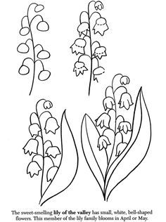 some flowers that have been drawn in black and white