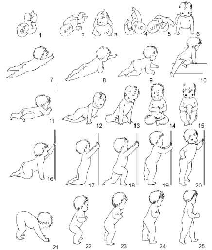 the baby's position and positions for each child to sit on their stomachs