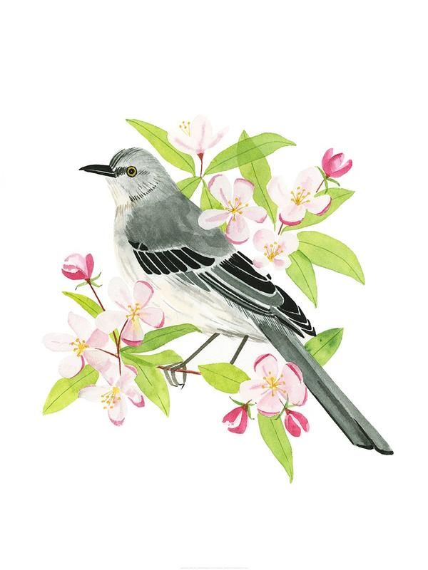 a bird sitting on top of a branch with pink flowers and green leaves around it