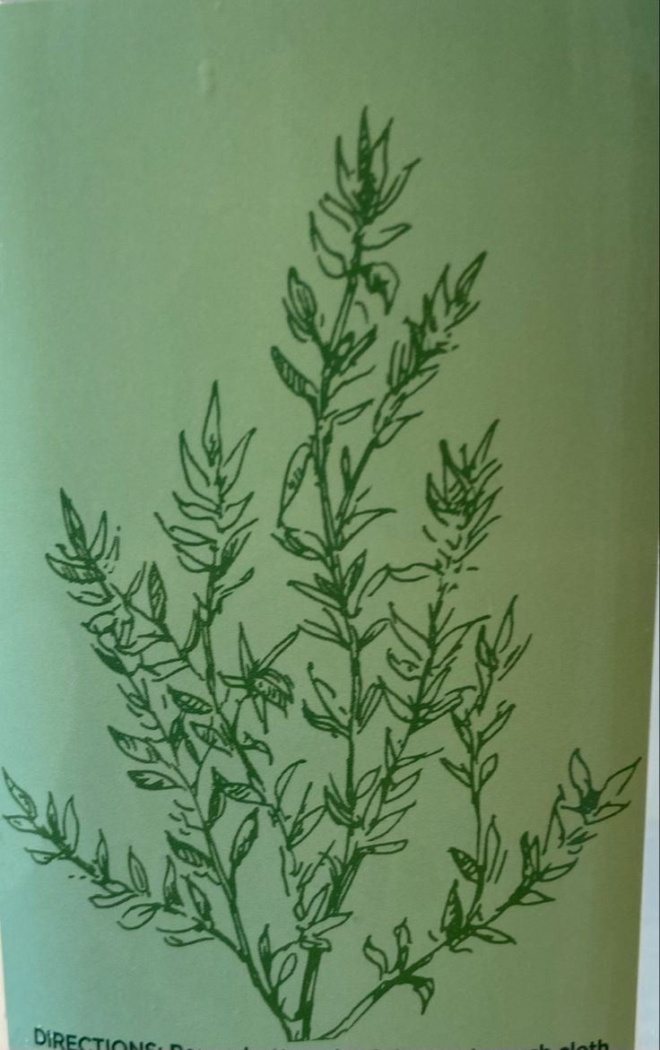 a close up of a plant on a white surface with green writing in the background