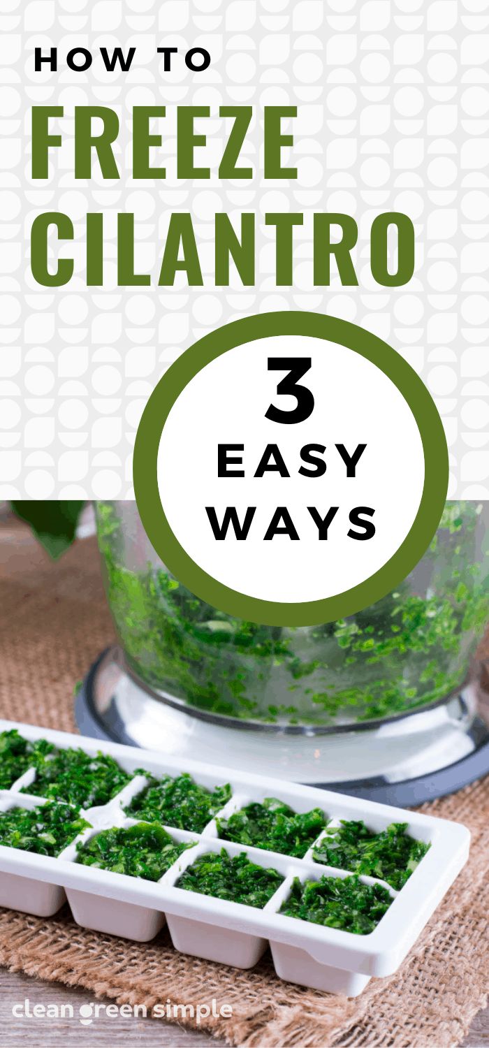 how to freeze cilantro 3 easy ways