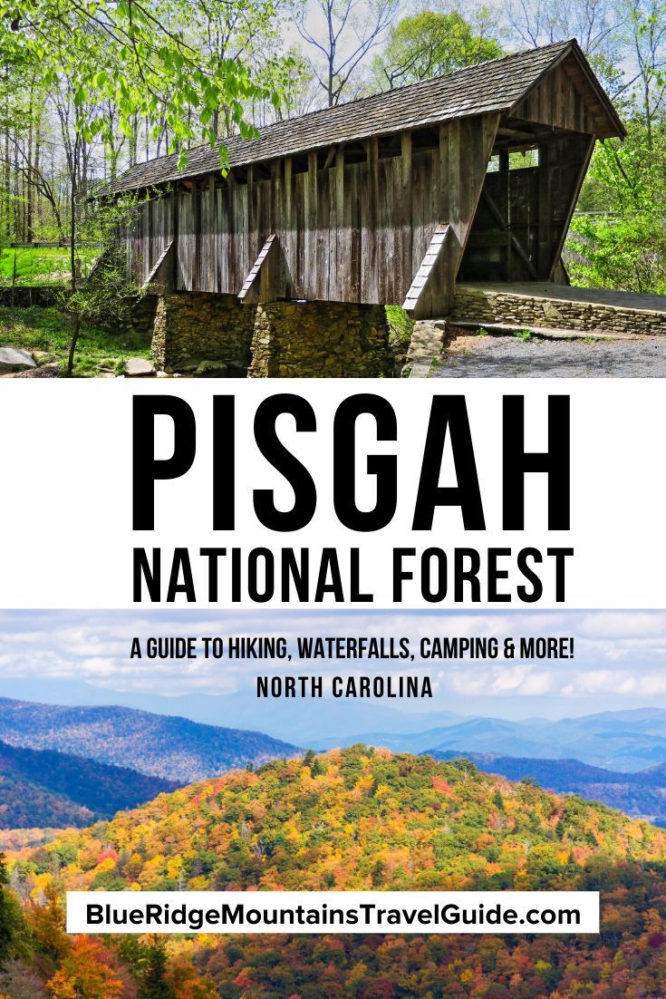 the cover of pisga national forest, with mountains and trees in the background