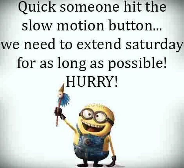 a minion holding a small bird in it's hand and saying, quick someone hit the slow motion button we need to extend saturday for as long as possible hurry