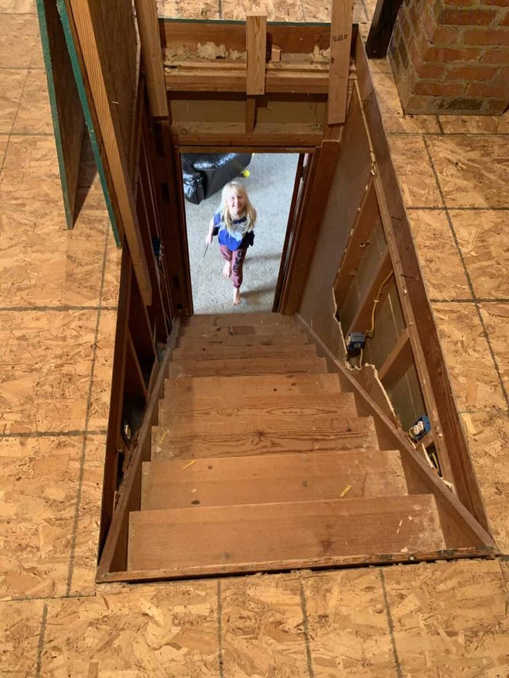 a dog is walking up the stairs to its owner