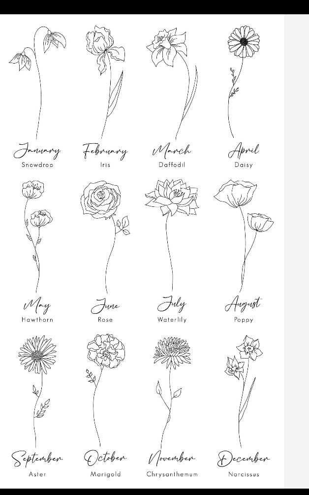 an image of flowers that are in the same line and have different names on them