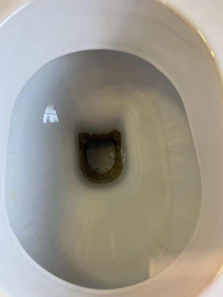 an open toilet bowl with the lid up and a small brown object in it's center