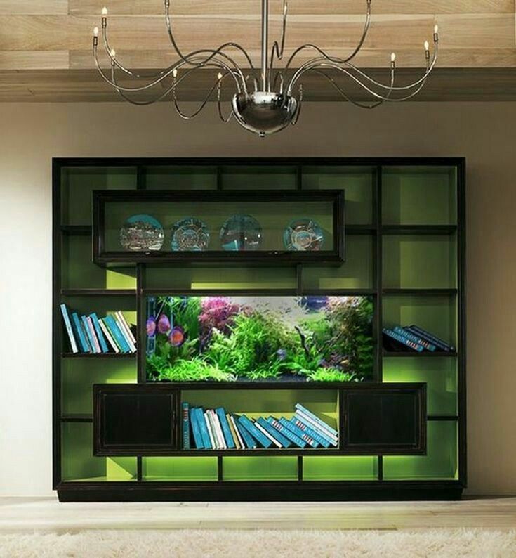 a fish tank in the middle of a bookshelf