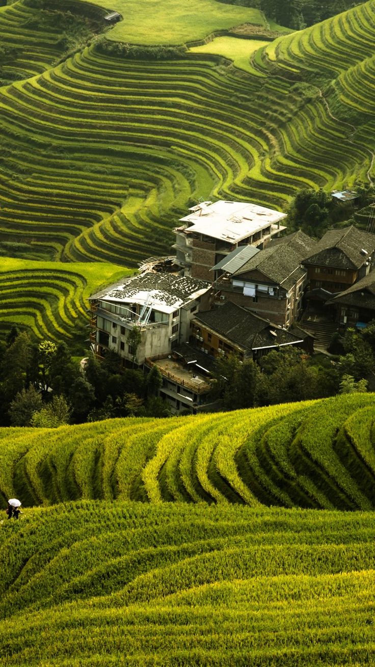 an aerial view of a village in the middle of a field with green grass growing on it