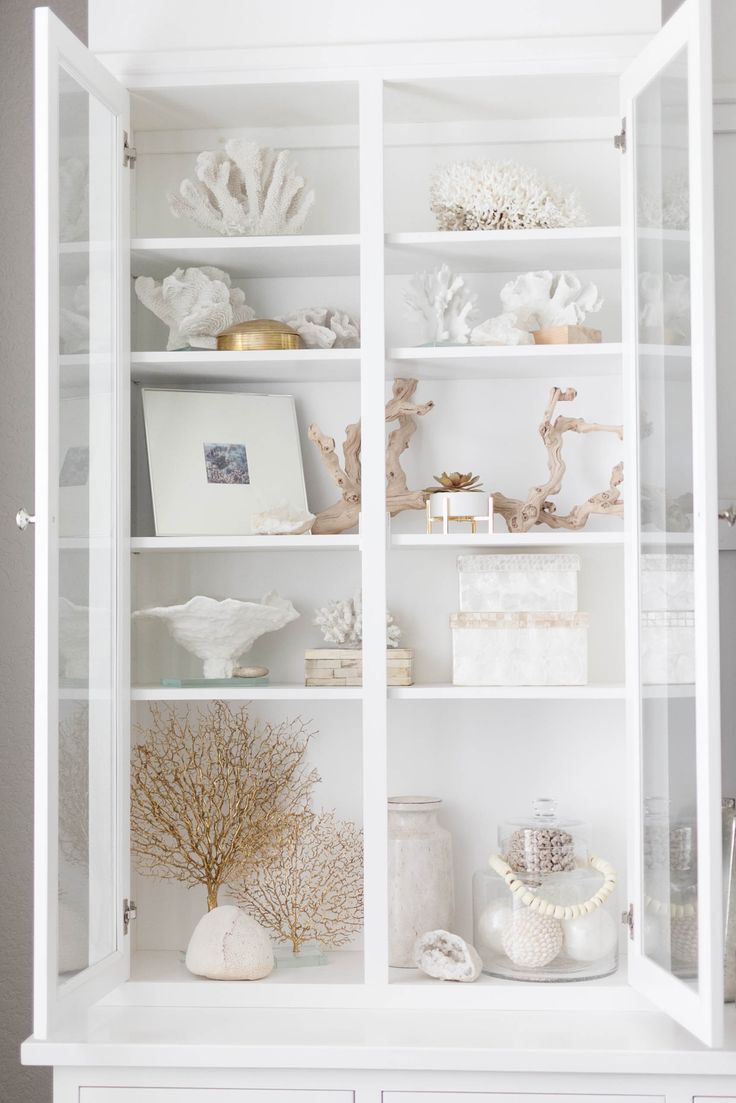 a white shelf filled with lots of different types of sea shells and seashells