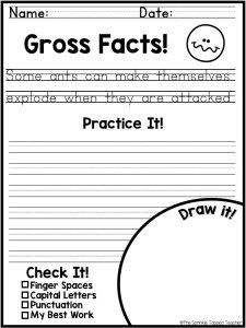 a worksheet with the words gross fact on it