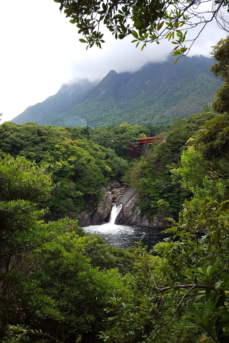 there is a waterfall in the middle of some trees and bushes with mountains in the background