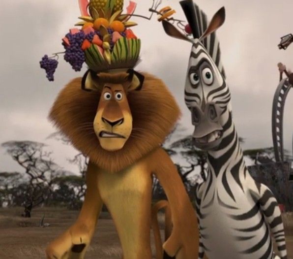 the lion and the zebra are standing next to each other with fruit on their heads