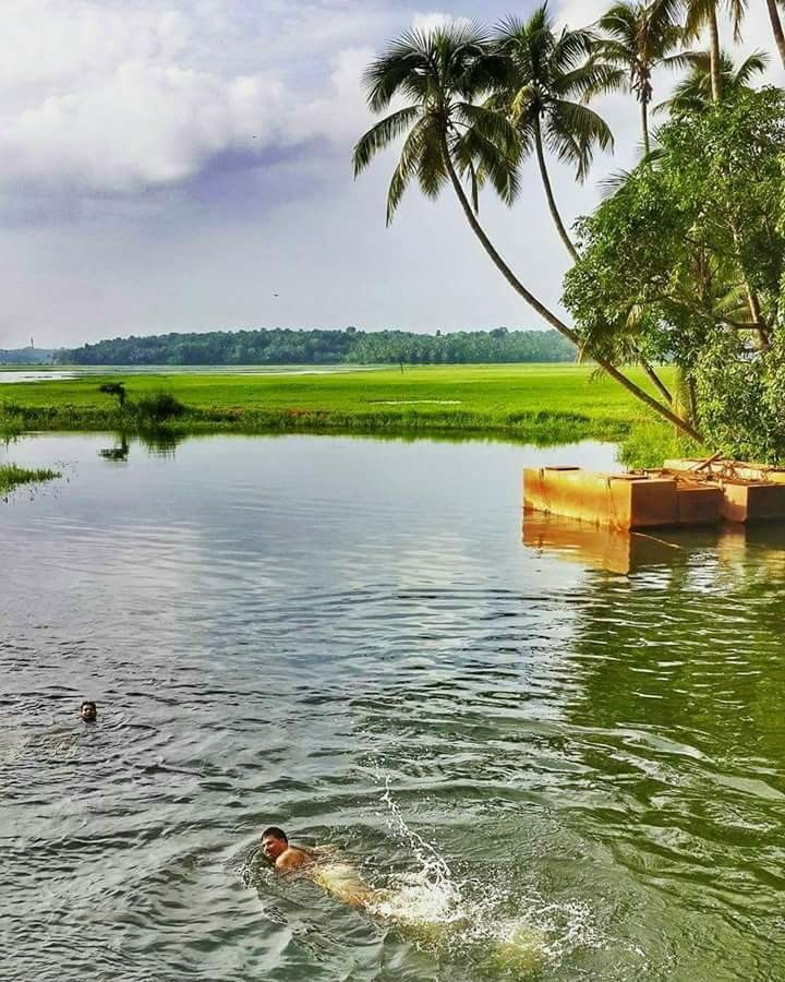 a man swimming in the middle of a body of water with palm trees around him