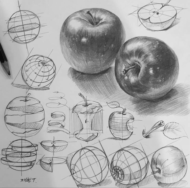 an apple is shown in this drawing and it's different parts to be drawn