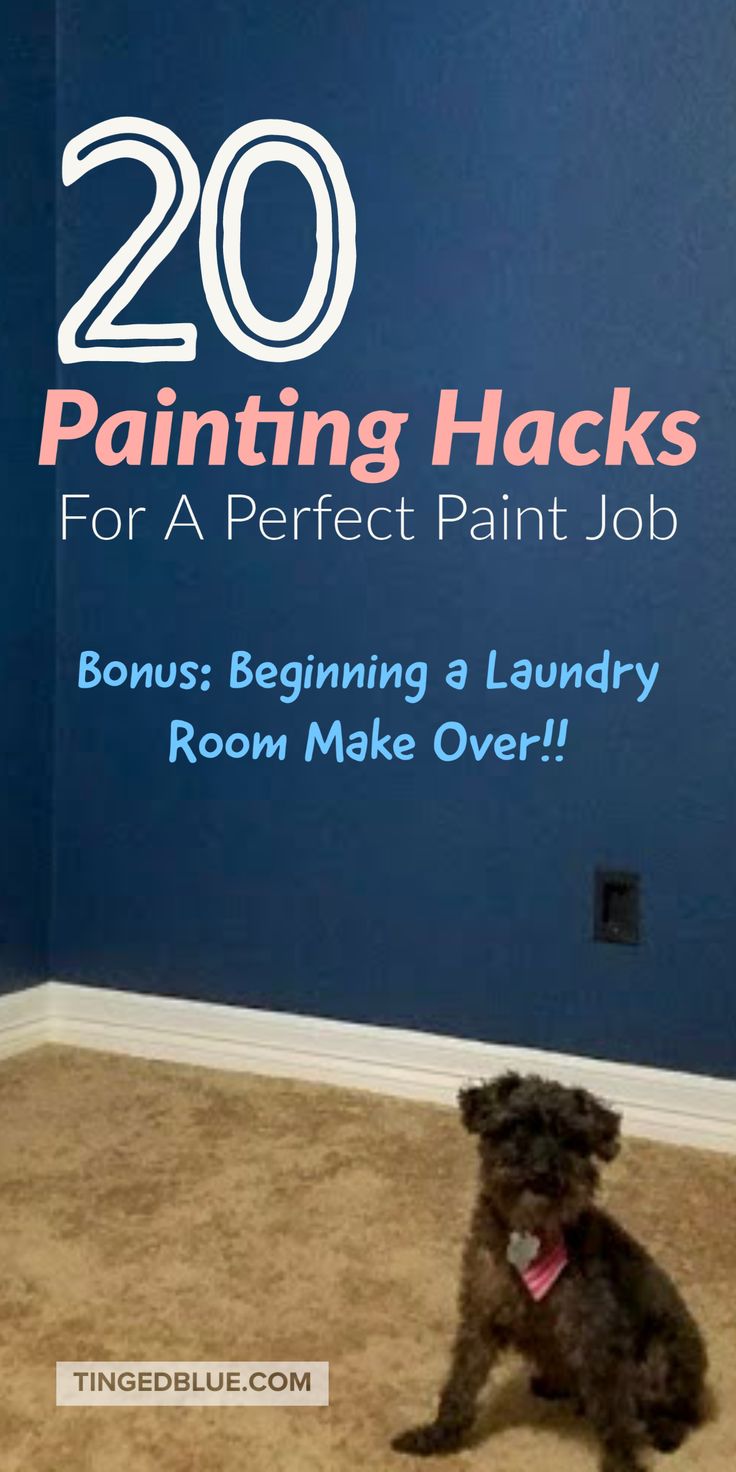 a dog sitting on the floor in front of a blue wall with text that reads 20 painting hacks for a perfect paint job