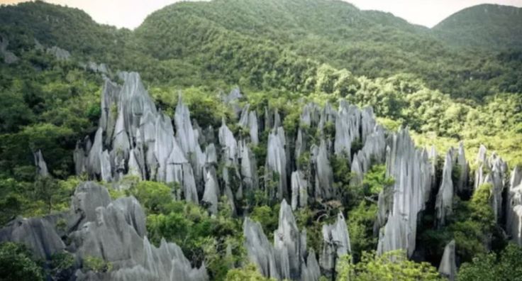 the mountains are covered in rock formations and trees