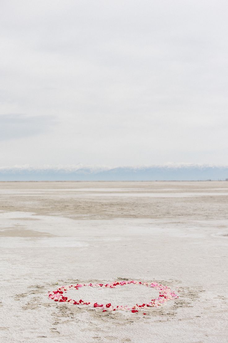 a heart - shaped object in the middle of an empty field