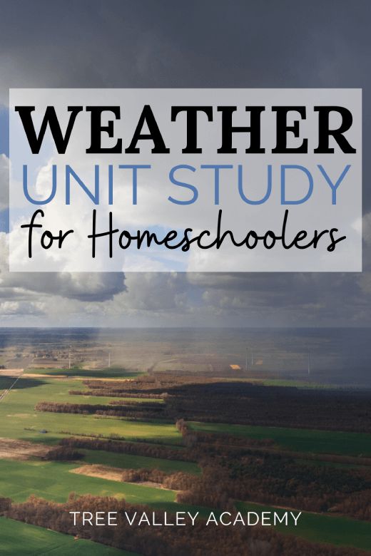 a book cover for weather unit study for homeschoolers by tree valley academy