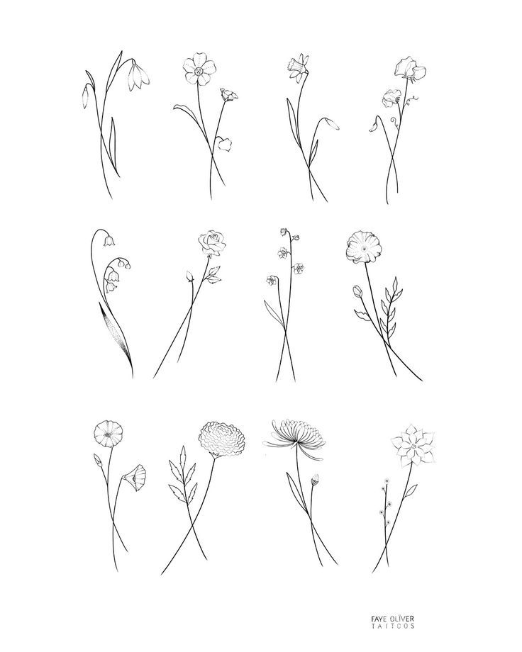 the flowers are drawn in black and white