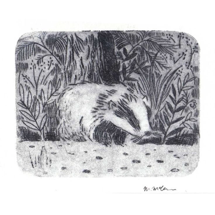 a drawing of a badger on the ground in front of some trees and plants,