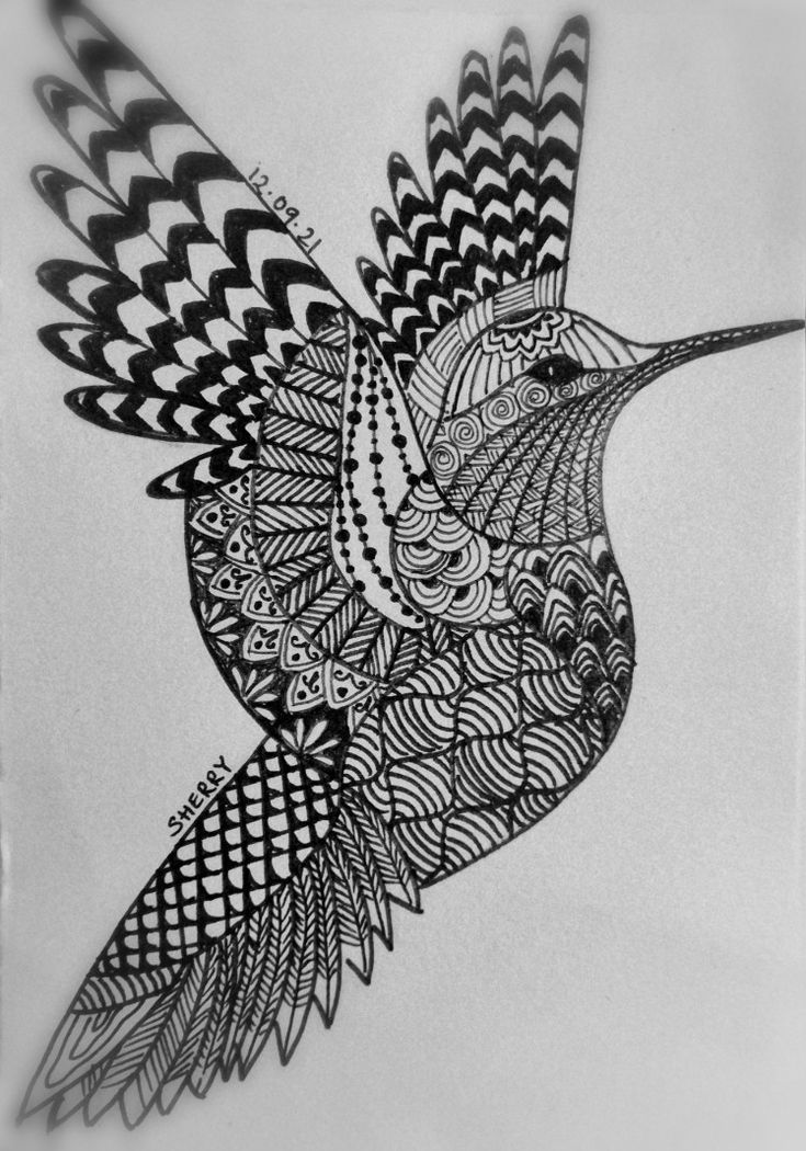 a black and white drawing of a hummingbird