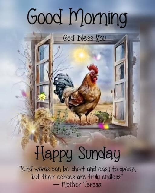 a happy sunday card with a rooster looking out an open window at another chicken sitting on the windowsill