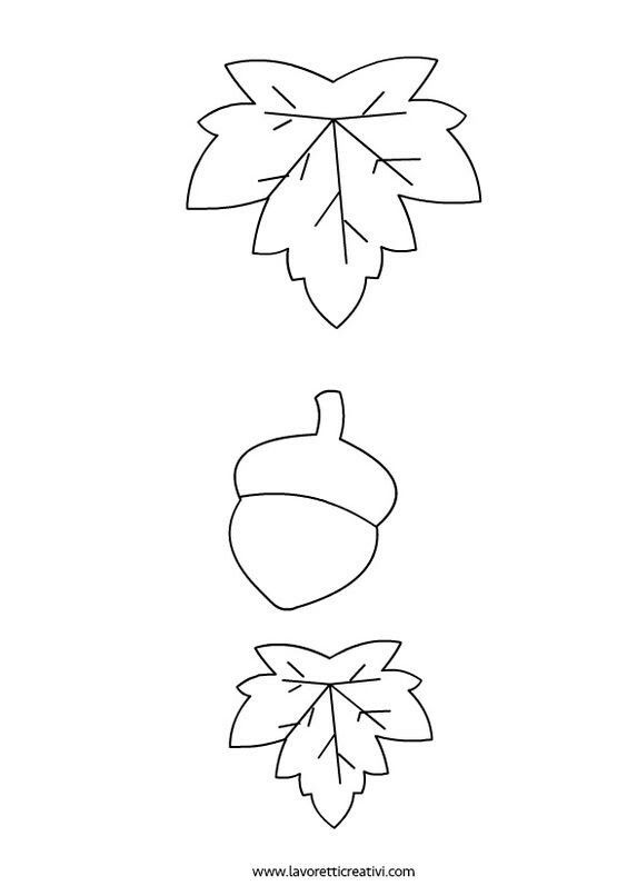 three leaves and acorns are shown in the shape of an acorn on a white