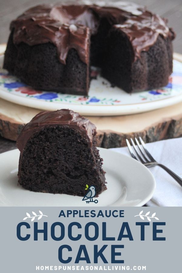 a chocolate cake on a white plate with the words applesauce chocolate cake above it