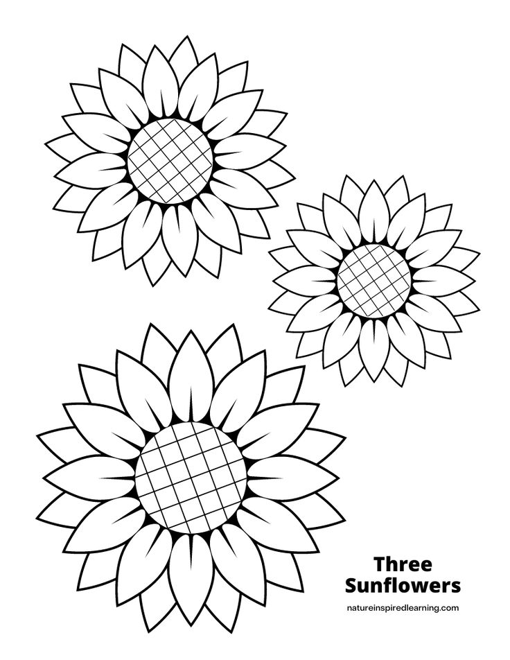 three sunflowers with the words three sunflowers in black and white text