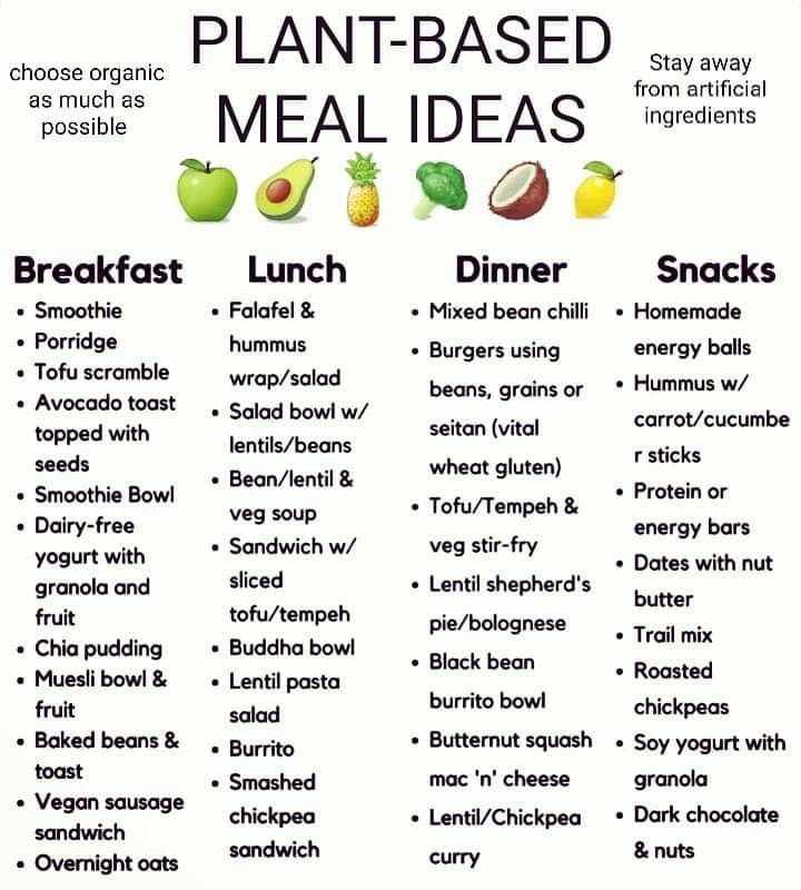 a list of plant based meal ideas